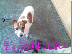 今日カズ081229　2
