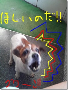 今日カズ081229　3
