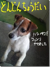 今日カズ081229　5