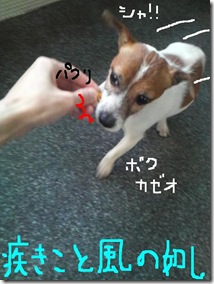 今日カズ081229　6