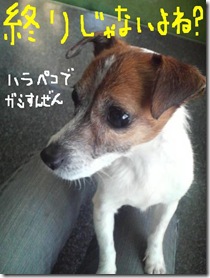今日カズ081229　7