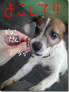 今日カズ081229　10