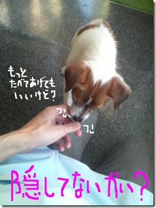 今日カズ081229　11