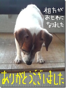 今日カズ081230　2