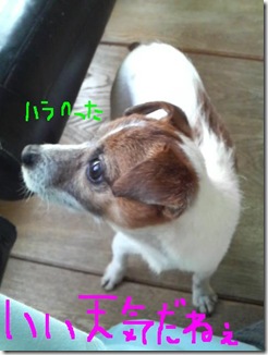今日カズ081230　4