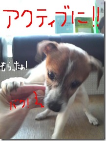 今日カズ081230　5