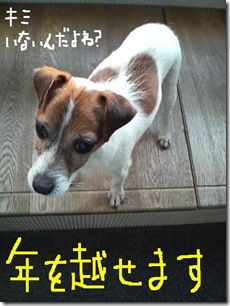 今日カズ081230　7