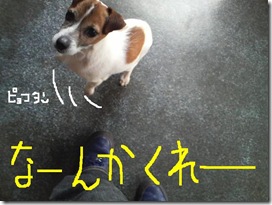 今日カズ090104　4