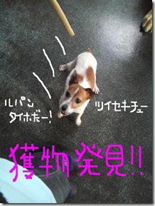 今日カズ090104　6