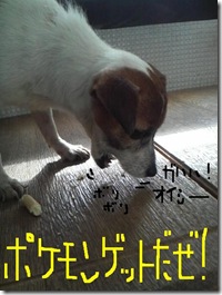 今日カズ090104　7