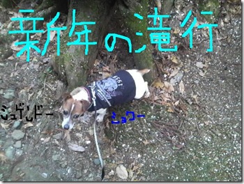今日カズ090105　5