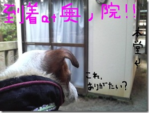 今日カズ090105　8