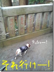 今日カズ090105　10