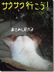 今日カズ090105　11