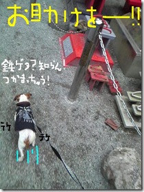 今日カズ090105　13