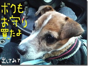 今日カズ090105　16
