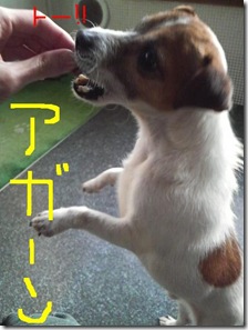 今日カズ090107　7
