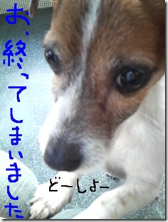 今日カズ090107　8