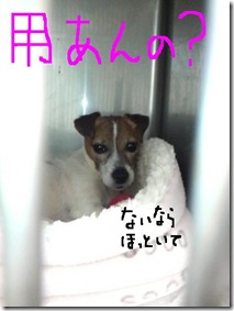 今日カズ090109　1