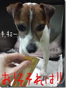 今日カズ090109　2