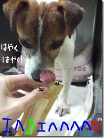 今日カズ090109　3