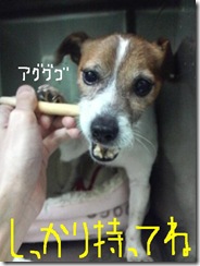 今日カズ090109　5