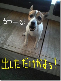 今日カズ090110　1