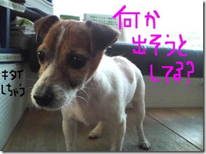 今日カズ090110　2
