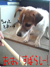 今日カズ090110　3
