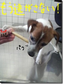 今日カズ090110　4
