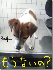 今日カズ090110　5