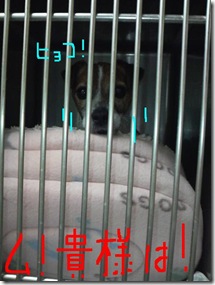 今日カズ090110　6