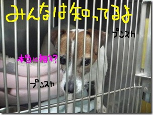 今日カズ090110　8