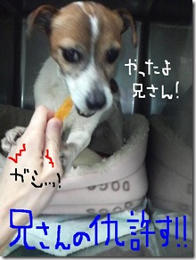 今日カズ090110　9