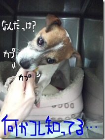 今日カズ090110　10