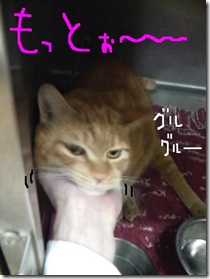 今日銭090111　3