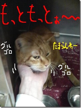 今日銭090111　4