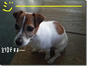 今日カズ090113　4