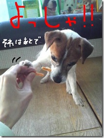今日カズ090113　6