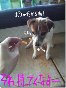 今日カズ090113　7