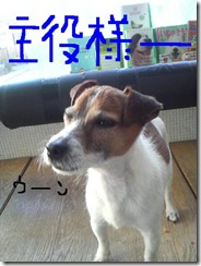 今日カズ090113　8