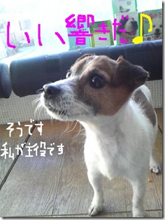 今日カズ090113　9