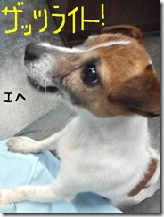 今日カズ090119　2