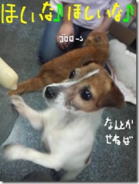 今日カズ090119　5