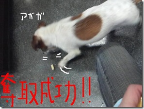 今日カズ090119　6