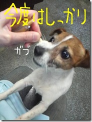 今日カズ090119　7