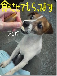 今日カズ090119　8