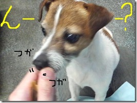 今日カズ090119　9