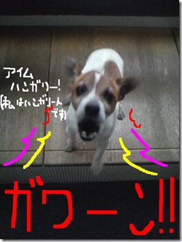 今日カズ090120　6
