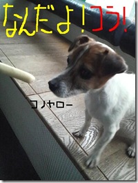 今日カズ090120　7